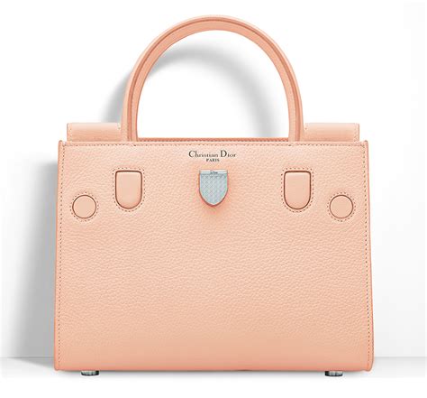 dior bag 290|nordstrom women's dior.